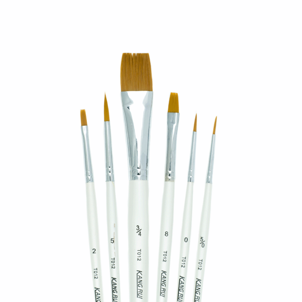 Set X6 Pincel de Nylon Surtido Gioto T012